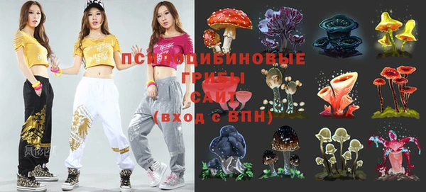 мефедрон Каменногорск