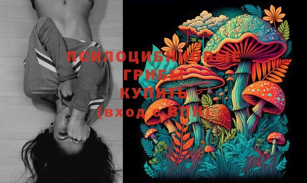 бутират Каменка